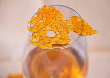 The Vital Importance of the Mass Balance