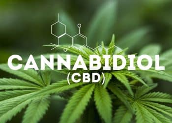 Cannabinoid Extraction Using Pressurized Hot Water Extraction (PHWE)