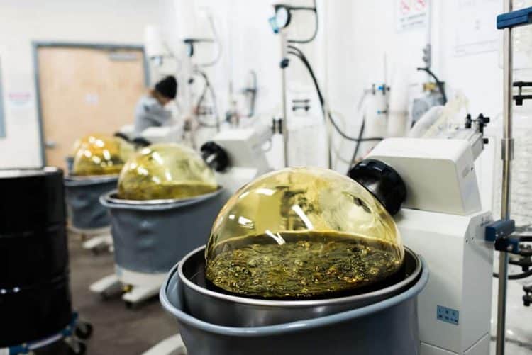 When Things Go Wrong in the Extraction Lab