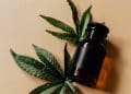 Grinding and Fractionation Transform Hemp Essential Oil