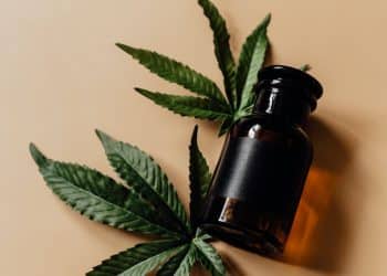 Grinding and Fractionation Transform Hemp Essential Oil