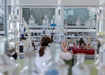 Cannabis Extract Activity Depends on Solvent Polarity and Decarboxylation