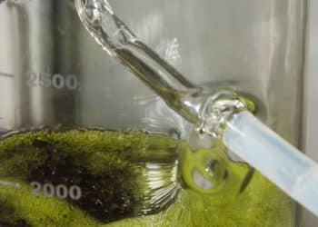 Microwave Distillation Proves Profitable and Environmentally Friendly