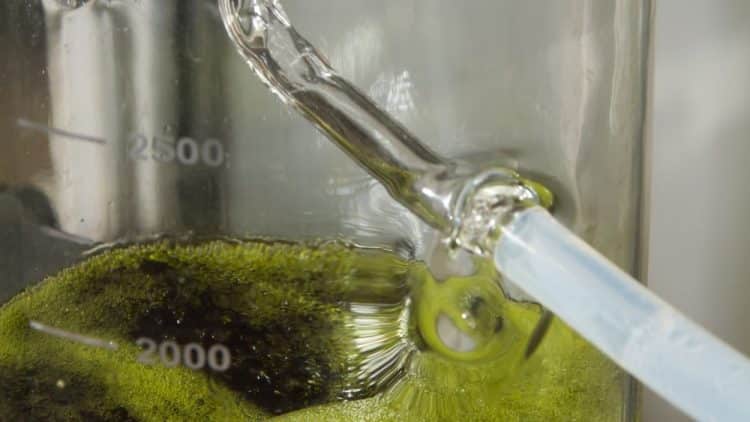 Microwave Distillation Proves Profitable and Environmentally Friendly