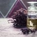 Encapsulation of Essential Oils and Terpenes