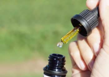 Infusing CBD and Antioxidants with Hemp, MCT, and Olive Oils