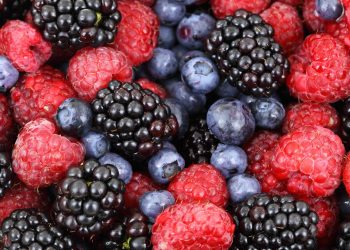 Food Polyphenols Boost Health and Wellness