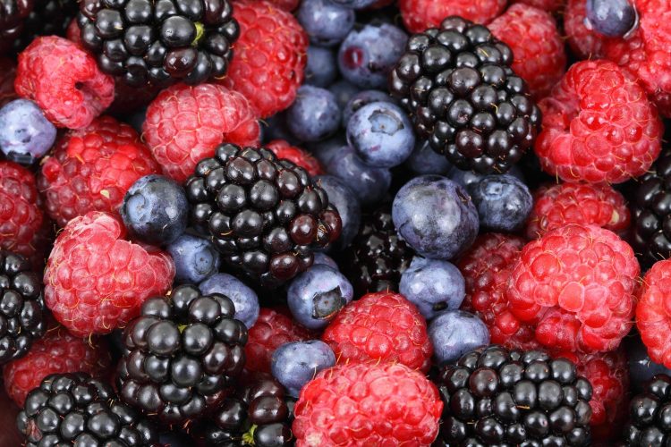 Food Polyphenols Boost Health and Wellness