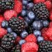 Food Polyphenols Boost Health and Wellness