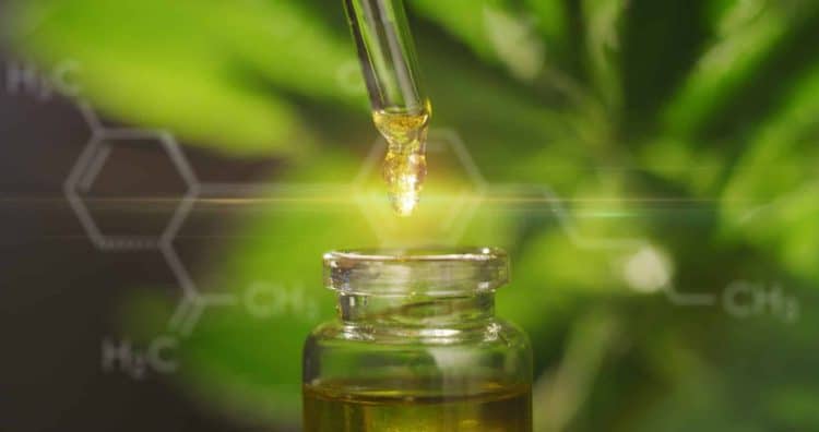 Extracting Terpenes the GoldDrop Way