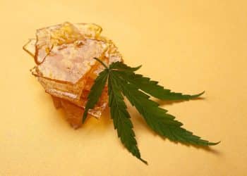 How ABSTRAX Uses 2D-GC to Create Enchanting Cannabis Products