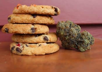 Experts Warn ‘Prohibitionist Fears’ Toward Cannabis Edibles Could Tap into Old Hysteria