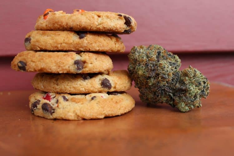 Experts Warn ‘Prohibitionist Fears’ Toward Cannabis Edibles Could Tap into Old Hysteria