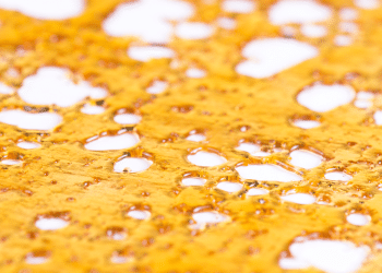 Making Shatter with Supercritical CO2