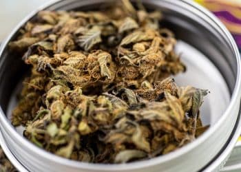 Conversion of CBD into Other Cannabinoids