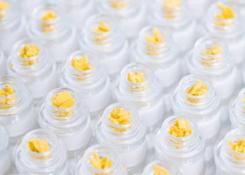 Extraction Protocols Impact Chemical Profiles of Cannabis Extracts