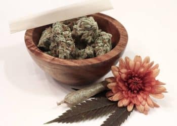 THCa Extraction with CO2