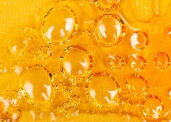 Does Color Indicate Concentrate Quality?