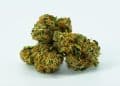 Controlled Decarboxylation through Enzymes