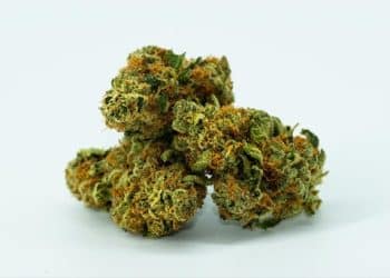 Controlled Decarboxylation through Enzymes