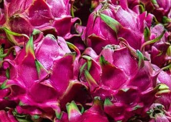 Three Astonishing Benefits of Red Pitaya Peels You Need to Know