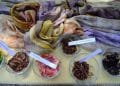 Ethnobotany of Dye Plants