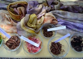 Ethnobotany of Dye Plants