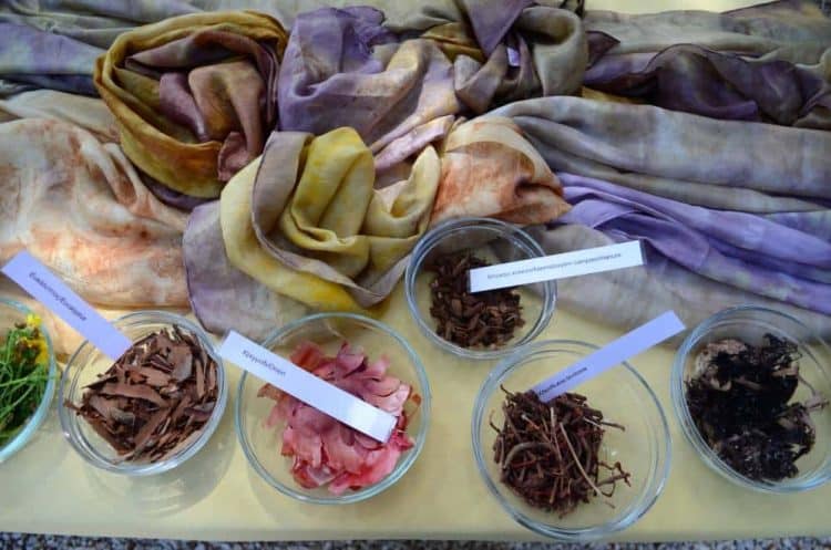 Ethnobotany of Dye Plants