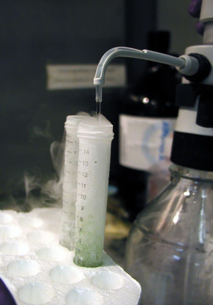 Top 5 Separation Technologies