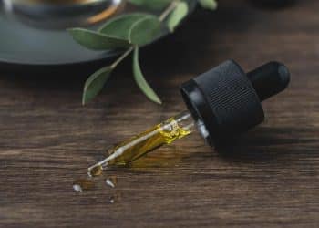 What to Look For When Buying a Cannabis Extraction Machine