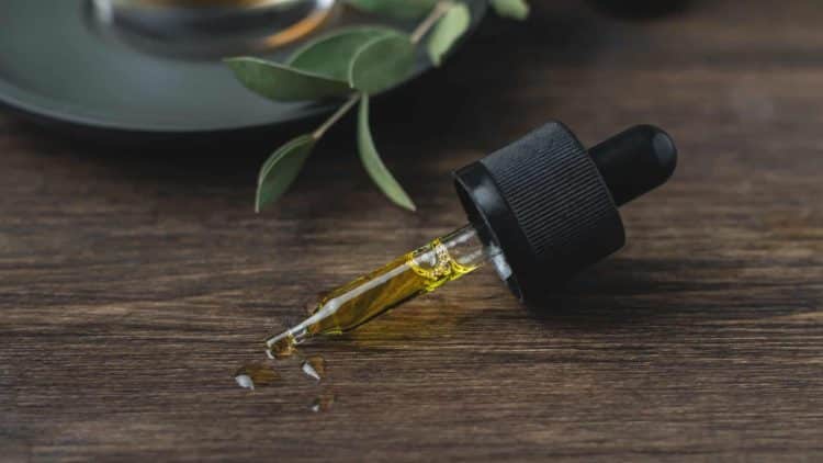 What to Look For When Buying a Cannabis Extraction Machine