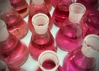 Fundamentals of Preparative chromatography