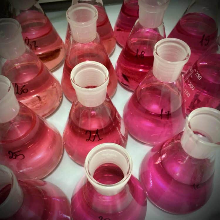 Fundamentals of Preparative chromatography