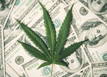 Total Approach: How To Avoid Costly Mistakes when Starting a Cannabis Extraction Laboratory