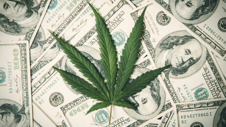 Total Approach: How To Avoid Costly Mistakes when Starting a Cannabis Extraction Laboratory