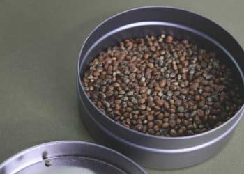 Extraction – It’s Not Just for Cannabinoids Anymore