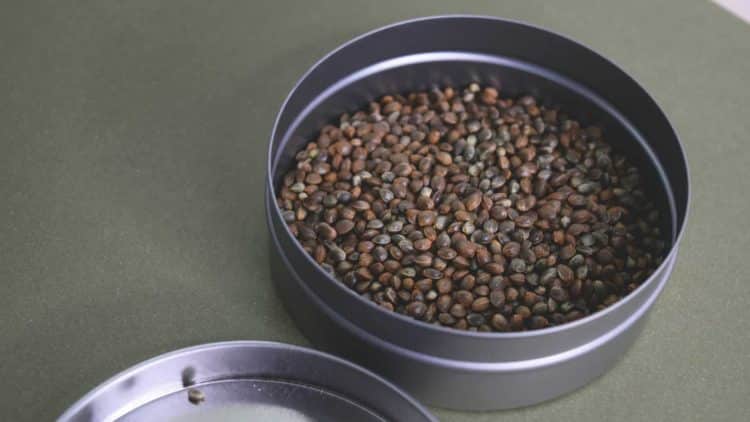 Extraction – It’s Not Just for Cannabinoids Anymore