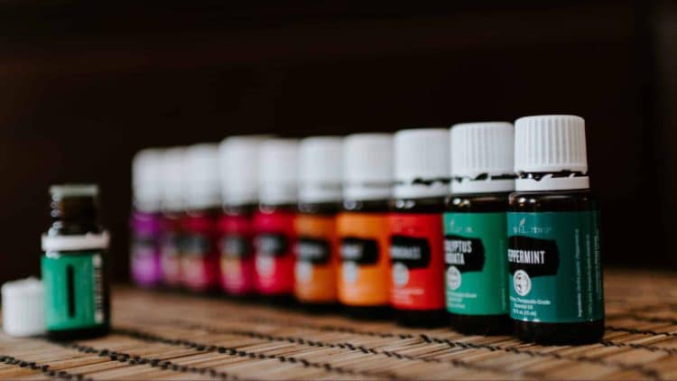 Buying An Extraction Machine For Plants Other Than Cannabis