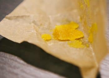 The Science Behind Terpene Extraction