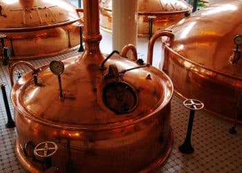 The Benefits of In-House CBD Production for Equipment Manufacturers