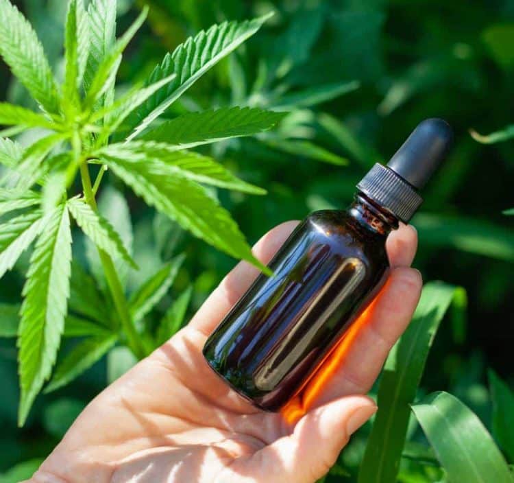 What Cannabinoids Are Currently The Most Valuable In The US Market