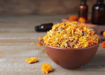 What Are the Different Drying Methods For Botanical Extracts?