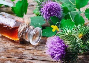 What is Botanical Extraction?