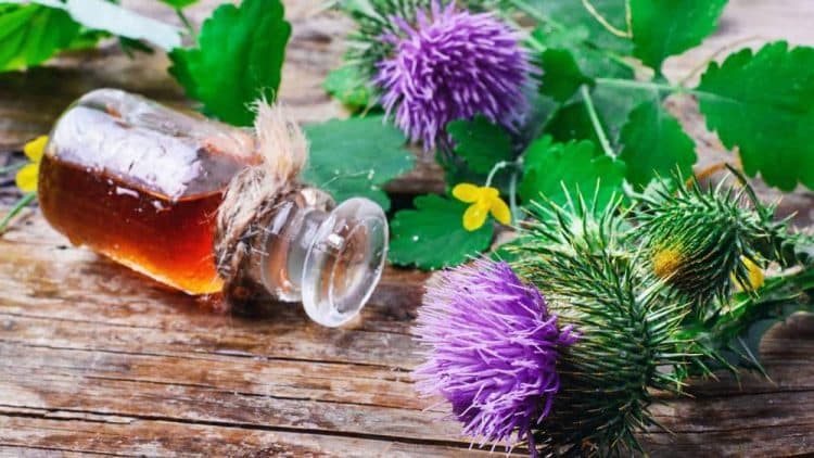 What is Botanical Extraction?