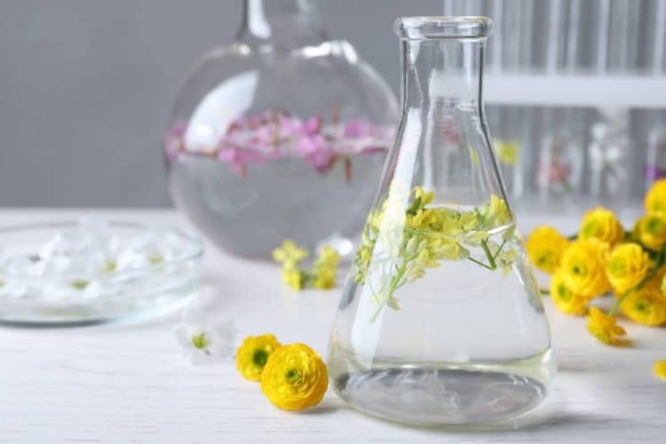 The Role of Botanical Extraction in the Cosmetics Industry