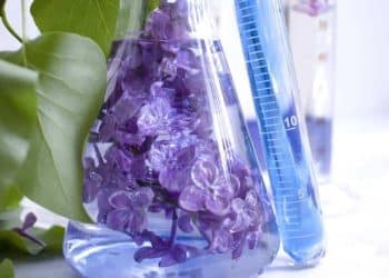 Methods For Identifying Phytocompounds