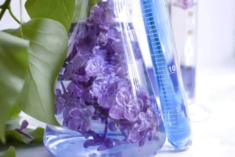 Methods For Identifying Phytocompounds