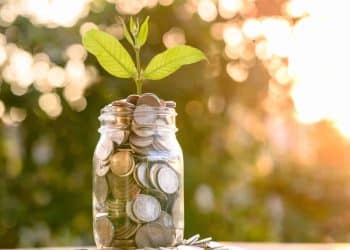 The future of  Botanical Extraction Market