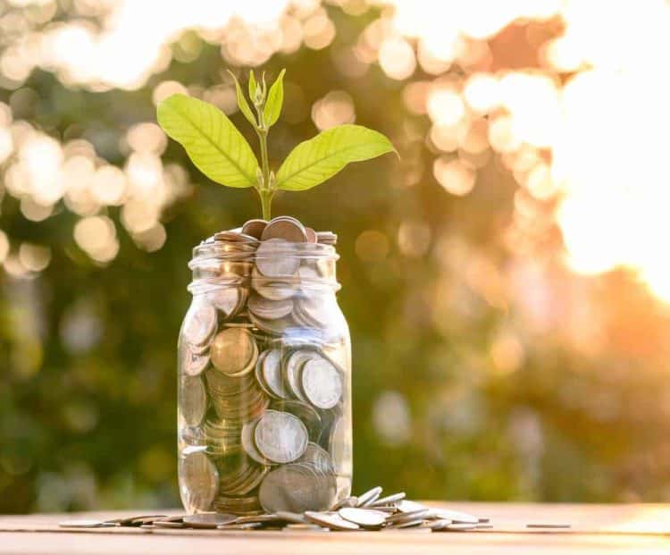 The future of  Botanical Extraction Market