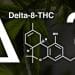 The unknowns of Delta 8 THC
